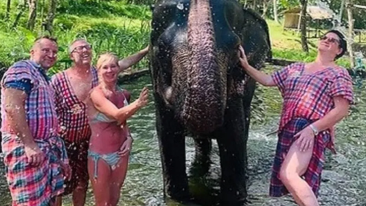 Una turista murió mientras bañaba a un elefante