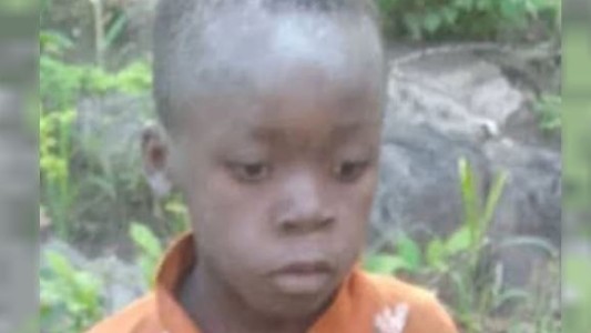 África: un nene de siete años sobrevivió cinco días en un Parque Nacional rodeado de leones y elefantes