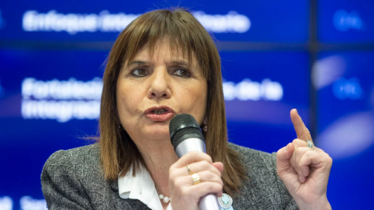 Advertencia de Bullrich a los mapuches que ocupan tierras: "El que usurpa pierde derechos"