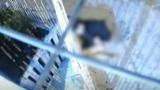 "Manga de antichorros, todo vuelve": las advertencias de familiares de los ladrones abatidos en un intento de robo