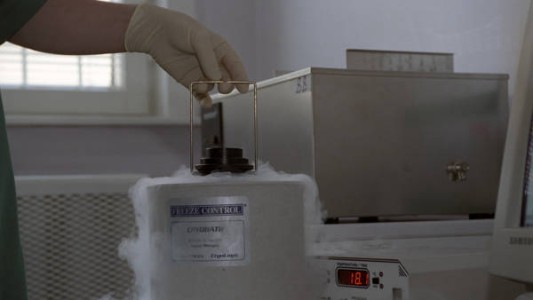 Polémica por un "Tinder" para elegir donante de esperma