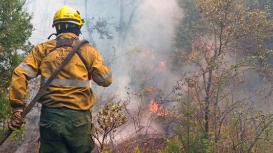 Contuvieron el fuego en Epuyén y detuvieron a dos mujeres por provocación del foco ígneo