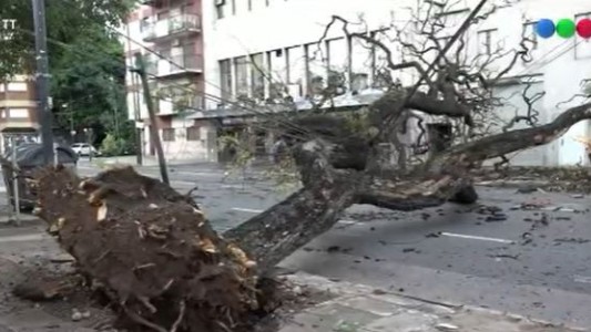 Temporal en el AMBA: usuarios sin luz, voladuras de techos y árboles caídos