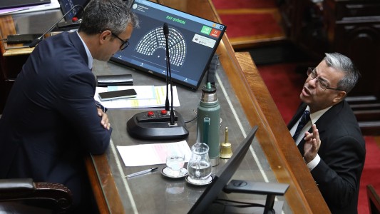 "Delirio total": Milei repudió el cruce entre Martínez y Menem por Ficha Limpia