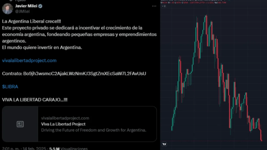 "No sabía los pormenores": Milei sobre Libra, el extraño token que publicitó y se desplomó minutos después