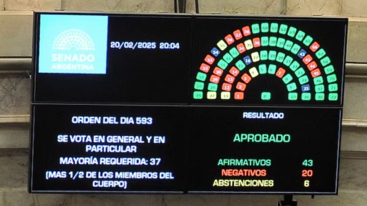 El Senado convirtió en ley la suspensión de las PASO de este año