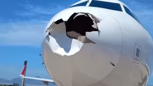 Un avión chocó contra un pájaro tras despegar y tuvo que volver al aeropuerto