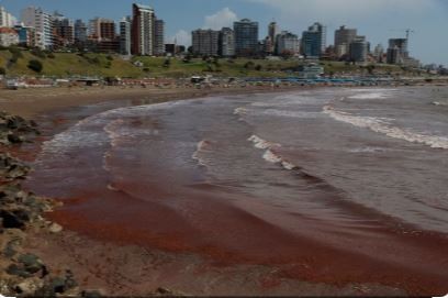 Por qué el mar se tiñó de rojo desde Mar del Plata hasta Necochea