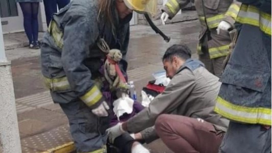 Preocupan en Bariloche los ataques de perros sueltos