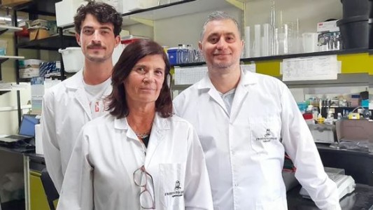 Un hallazgo de científicos argentinos podría ayudar a desarrollar una terapia para frenar el Alzheimer