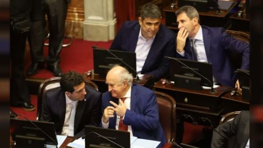 A pedido de Cristina Kirchner, el peronismo busca simplificar el proceso de afiliación a los partidos políticos