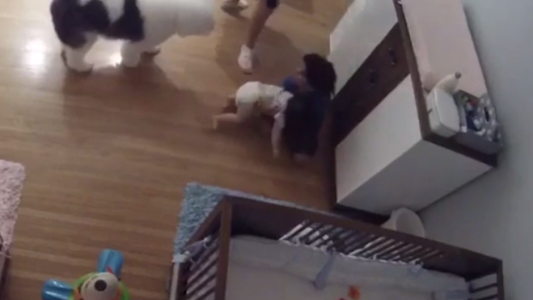 El nene que salvó a su hermano de 11 meses de una terrible caída