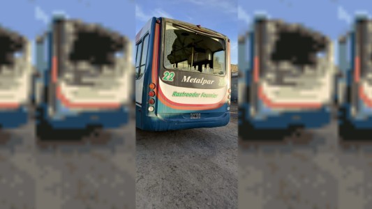Paro en Bahía Blanca: suspendieron el transporte público por ataques a colectivos