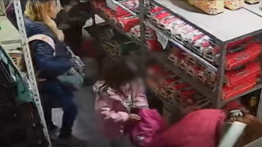 Video: mecheras que van a robar con sus hijos