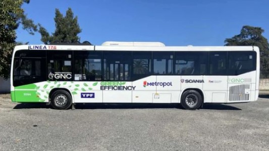 Metropol y Dota no se suman al paro de colectivos