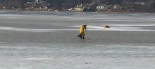 El heroico rescate de un perro de un lago helado de Estados Unidos