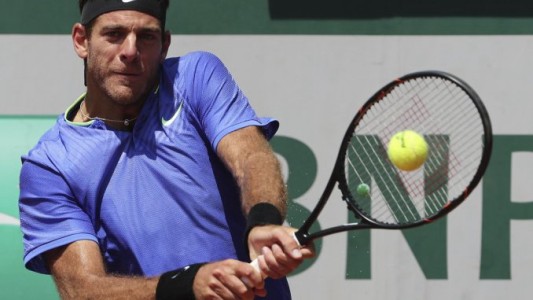 Del Potro perdió con Murray y se despidió de Roland Garros