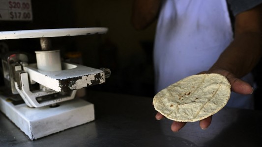 Desarrollan una tortilla contra la desnutrición y falta de heladeras