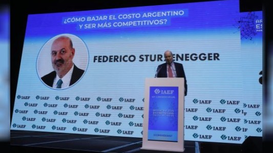 "La motosierra permite bajar impuestos", destacó Sturzenegger