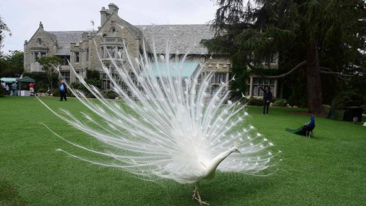 Estas son las cinco casas más caras del mundo que fueron vendidas en 2016