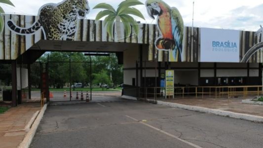 Brasilia cierra el zoológico y despliega una barrera sanitaria preventiva ante la gripe aviar