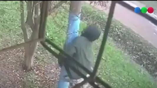 Video: se trepó a un poste y se robó una luminaria