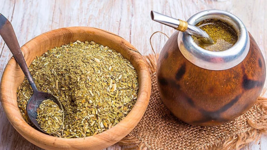 Argentina lanza la primera escuela dedicada exclusivamente al estudio de la yerba mate