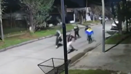 Video: brutal ataque de un "ejército" de pirañas