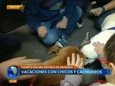 La feria de mascotas, un paseo para chicos