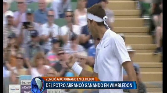 Del Potro debutó con un triunfo en Wimbledon