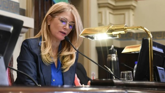 El Senado bonaerense aprobó las reelecciones indefinidas para legisladores