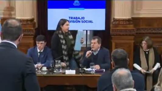 El papelón de una senadora macrista que le regaló al kirchnerismo una victoria clave