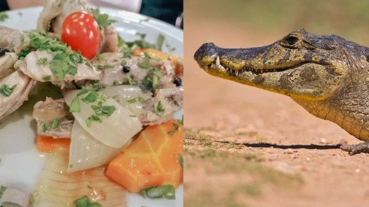 Clausuran un restaurante porteño que vendía carne de carpincho, yacaré y ranas