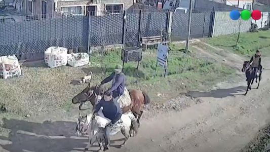 Video: robaron un cabrito, escaparon a caballo y le dispararon a vecinos