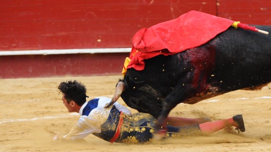 Impactante: el video del momento en el que un torero recibe una cornada de veinte centímetros