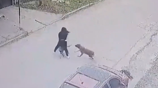 Dejó a los perros sueltos y atacaron a una mujer