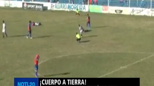 Jujuy: frenaron un partido de fútbol por una invasión de abejas