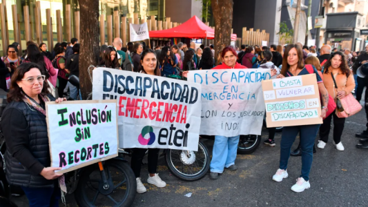 Diversas agrupaciones se movilizarán hoy contra del veto a la Ley de Emergencia en Discapacidad