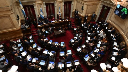 Con amplia mayoría, el Senado convirtió en ley el financiamiento universitario