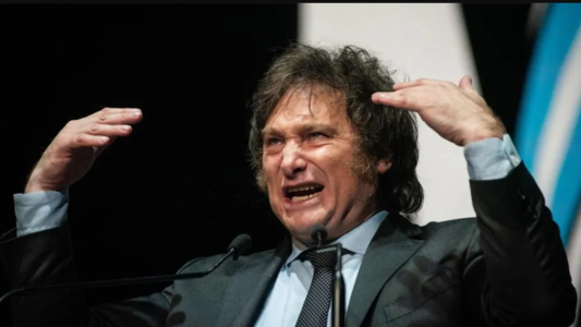 Milei: "La estrategia del kirchnerismo es destruir el plan económico o intentar matarme"