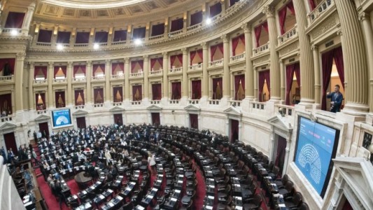 La oposición tiene los votos para rechazar en Diputados el veto al Garrahan y presiona por universidades