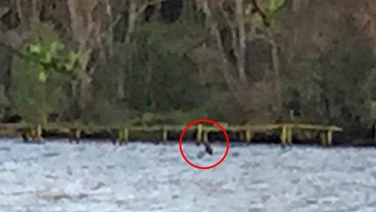 La nena que sacó las mejores fotos del monstruo del lago Ness de los últimos años