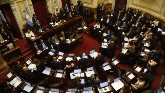 El Senado rechazó los vetos al financiamiento del Garrahan y las universidades