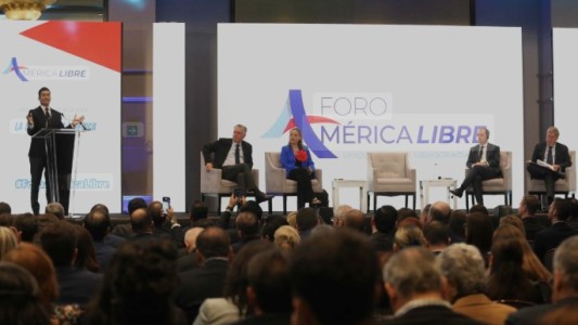 La Democracia Cristiana participó del Foro América Libre en México