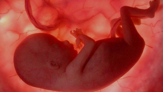 Antes de nacer, los fetos ya reconocen caras