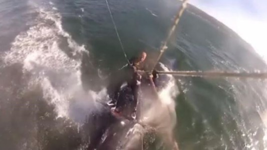 Video: kitesurfer atropelló a una ballena