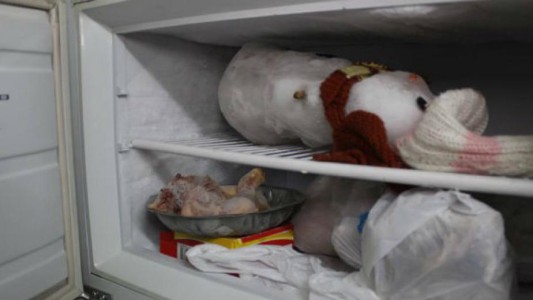 El muñeco de nieve más viejo del mundo se llama Tito y vive hace 10 años en un freezer cordobés