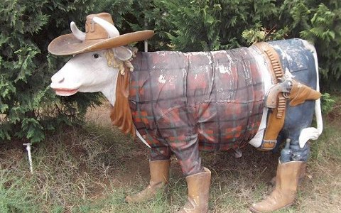 Una vaca se escapó del matadero y nadó hasta una isla deshabitada