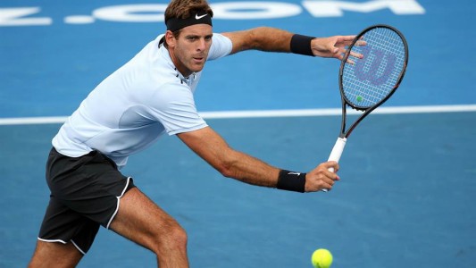 Del Potro perdió la final de Auckland ante el español Agut