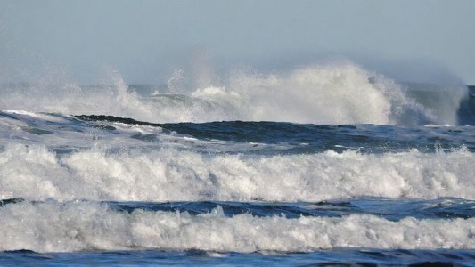 El deporte que te hace ingerir las bacterias más resistentes a los antibióticos